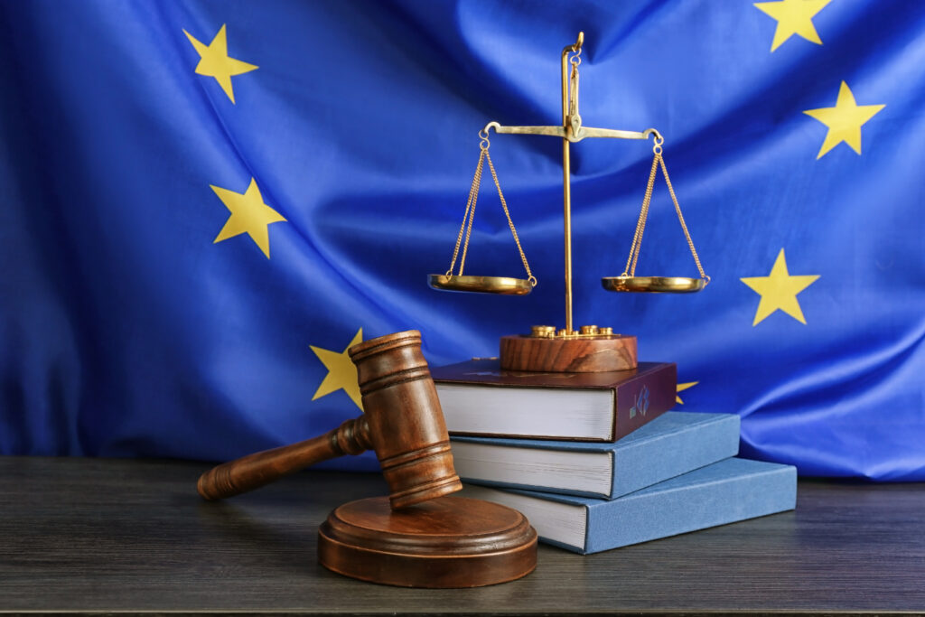 Significant development in climate change litigation in the EU