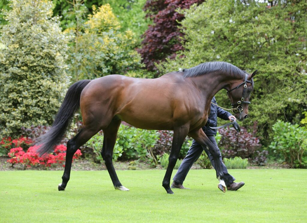 Camelot, Sea The Moon and Make Believe Top Sire Lists Across Europe