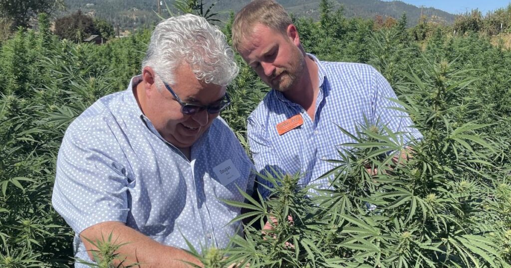 Cultural competency training & tribal partnerships at the core of Global Hemp Innovation Center