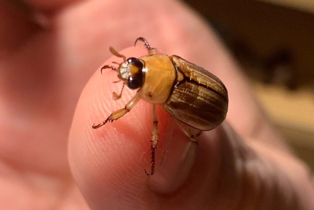 Only one in four Asia’s biggest companies consider nature material to