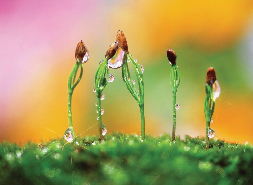 United States: The False Claims Act and DEI