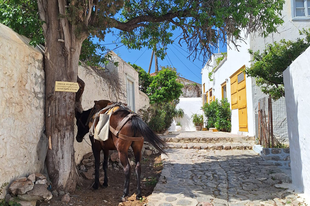 SDSN Report Calls for EU, World to Align Financial Flows to SDGs at FfD4