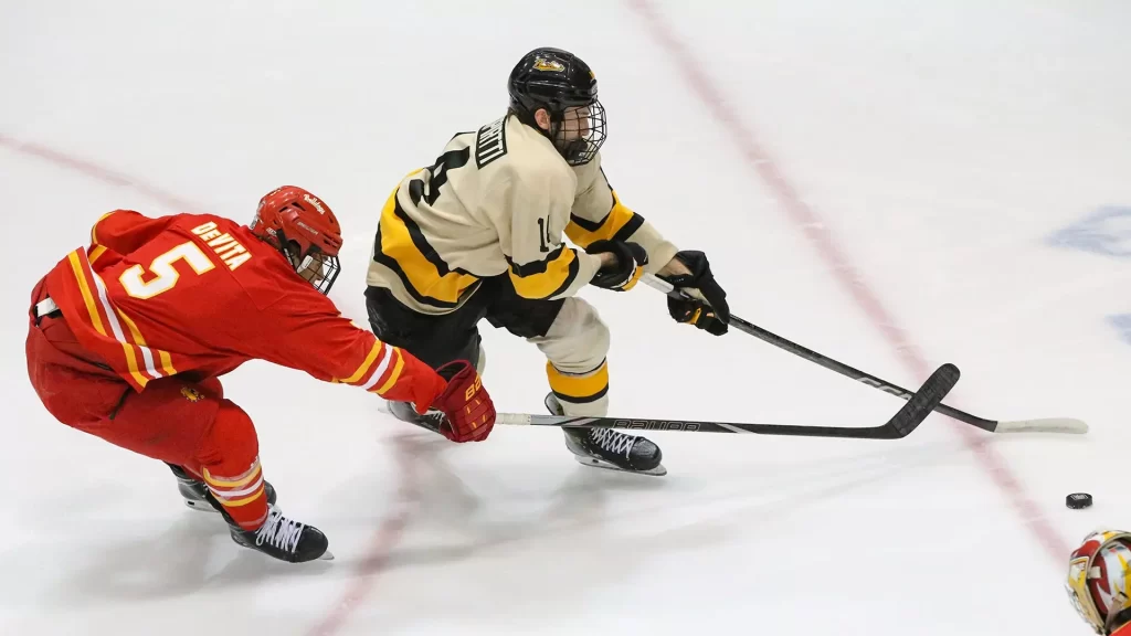 Huskies fell in home finale on Saturday