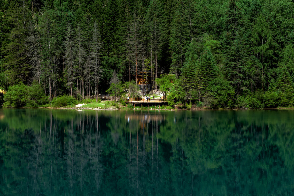 WHO Air Pollution and Health conference seeks to reinvigorate global action