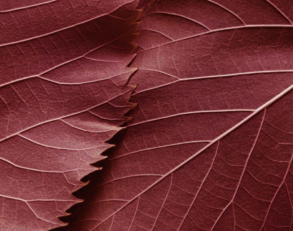 A finessed Arbitration Act 1996: targeted reforms become law