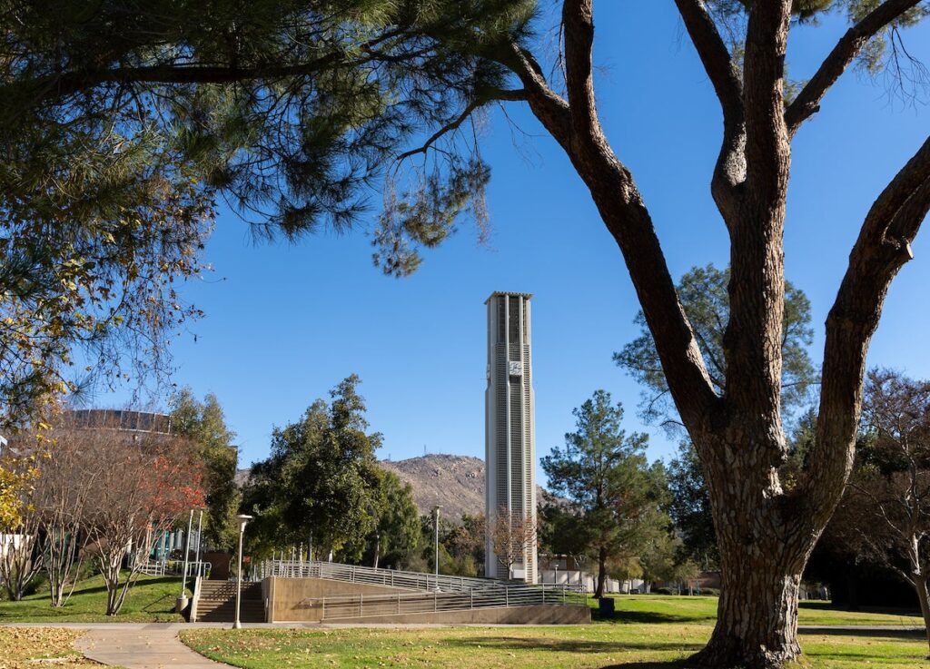 Business, education, and engineering grad programs ranked high