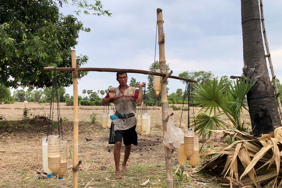 Sweet tradition: Cambodian farmer’s dedication to pure palm sugar