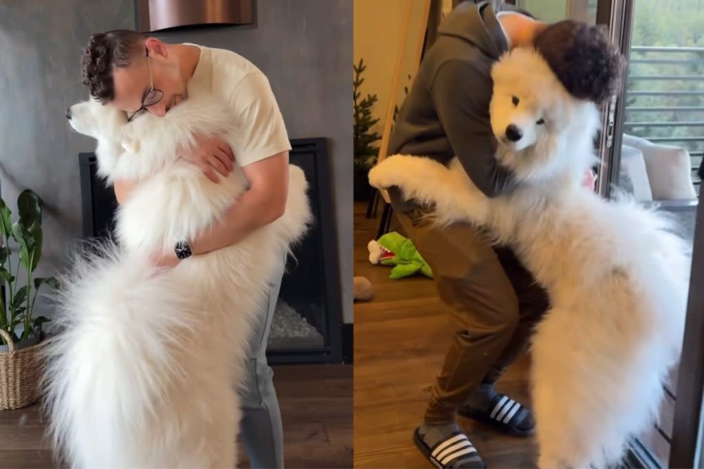 Video: Dog & Owner Start Their Mornings in the Most Wholesome Way