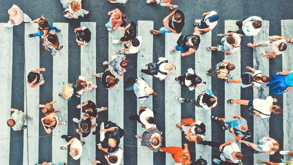 Practical Guide: Business Value & Social Performance Approach