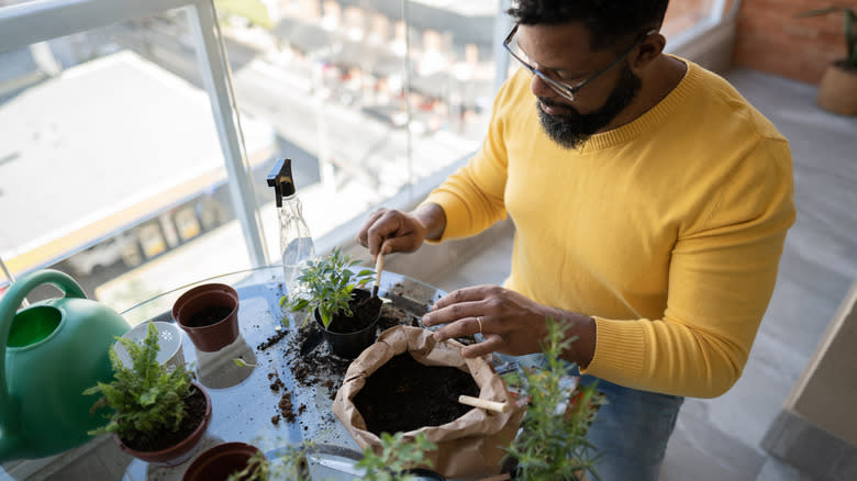 The One Weed Worth Responsibly Growing In A Container Garden