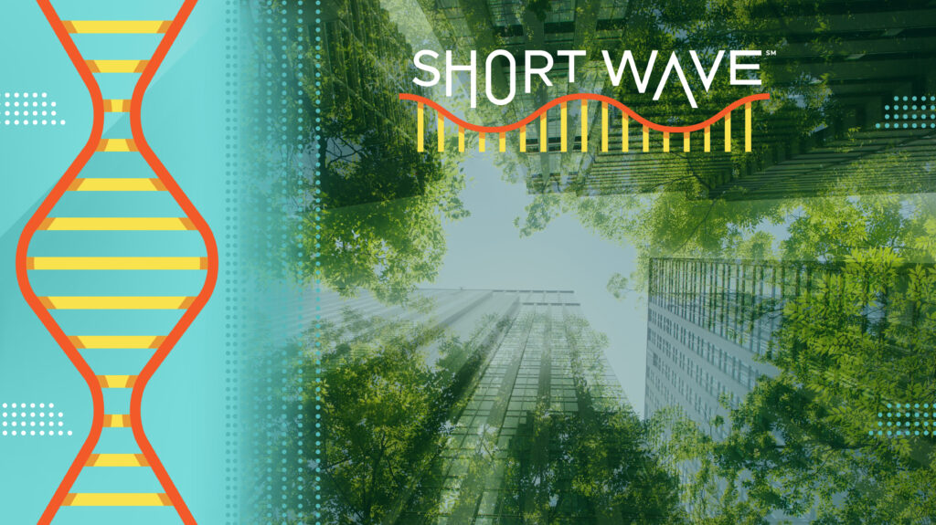 How tech companies could shrink AI’s climate footprint : Short Wave