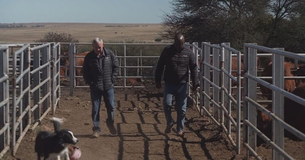 Some Afrikaners say Trump is being lied to about a “White genocide” in South Africa: “It’s not happening”