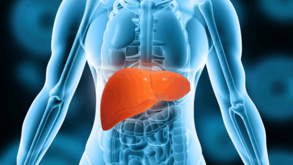 Is your lifestyle harming your liver? Expert explains the alarming rise in liver disease deaths