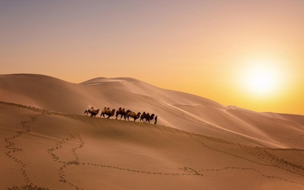 From the Silk Road to shared future: The significance of China-Central Asia cooperation