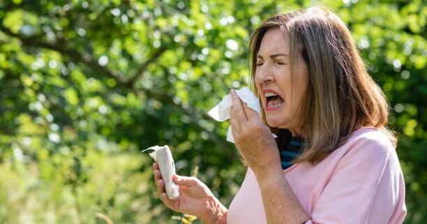 ‘Achoo’ — ‘God bless you’ — ancient phrase nearly seven centuries old and going strong