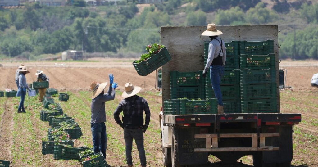 Farms, hotels and restaurants press Trump to exempt their businesses from immigration raids