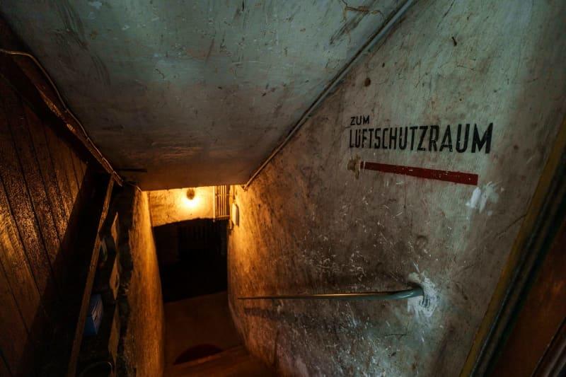 Are bunkers really making a comeback in Europe?