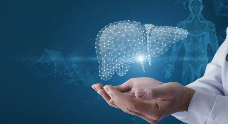 Fatty Liver On The Rise: A Growing Lifestyle Epidemic