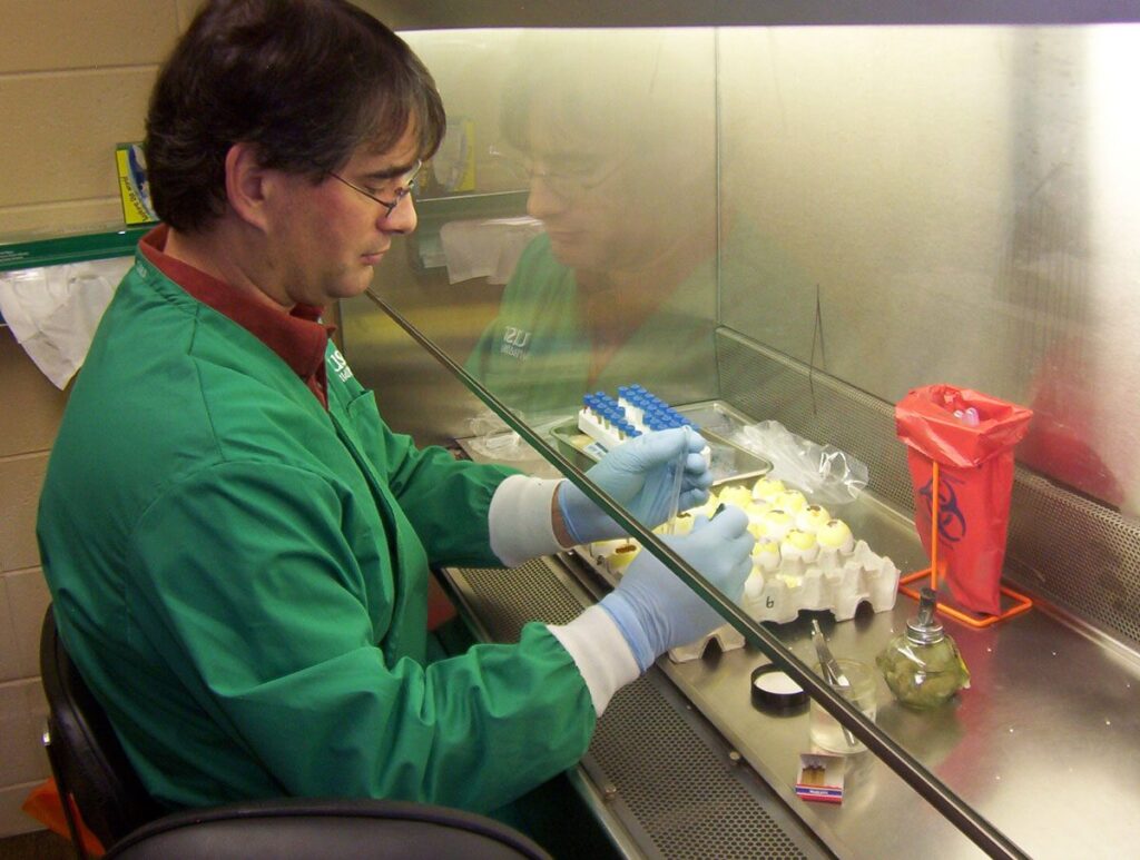 Standardizing Wildlife Disease Data for Global Health Security