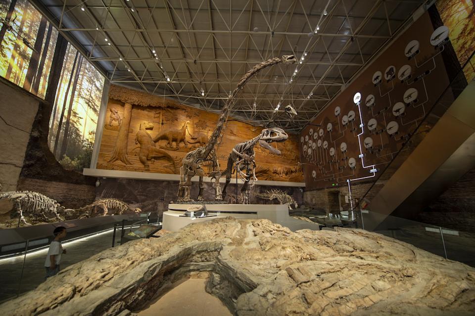 Global and Domestic Delegates Gather in Liaoning to Explore Business Opportunities in Cultural, Sports, and Tourism Integration