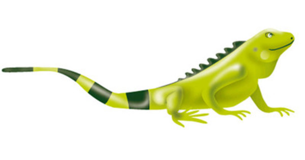 Moody’s Affirms Ecopetrol’s Global and Standalone Credit Ratings