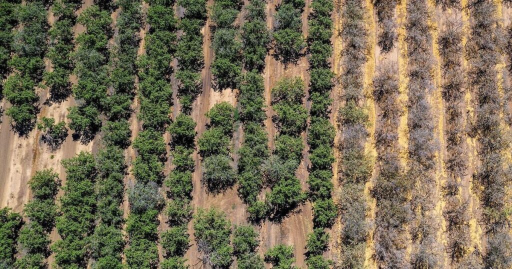 Study predicts global crop yields will diminish as temperatures rise