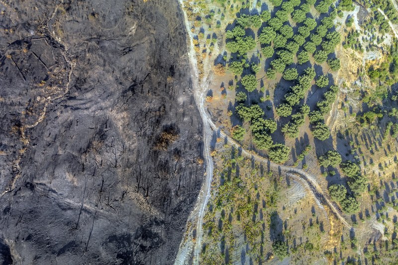 Europe’s land carbon sink declines, but its potential stays high