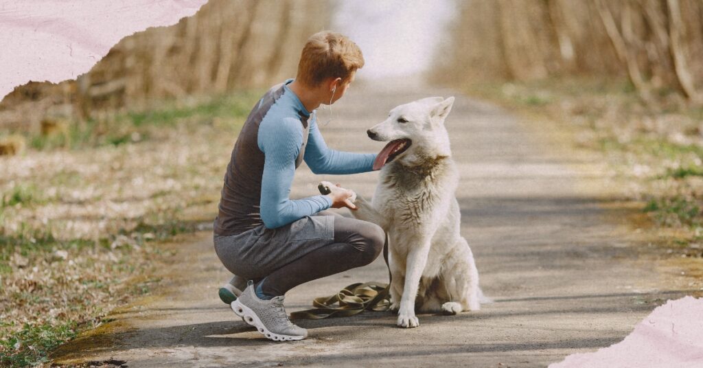 Veterinarians Urge Caution as Pets Join July 4th Celebrations on the Water