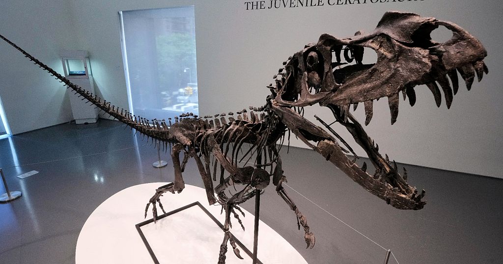 Rare dinosaur skeleton sells for $30 million at Sotheby’s ‘Geek Week’ auction