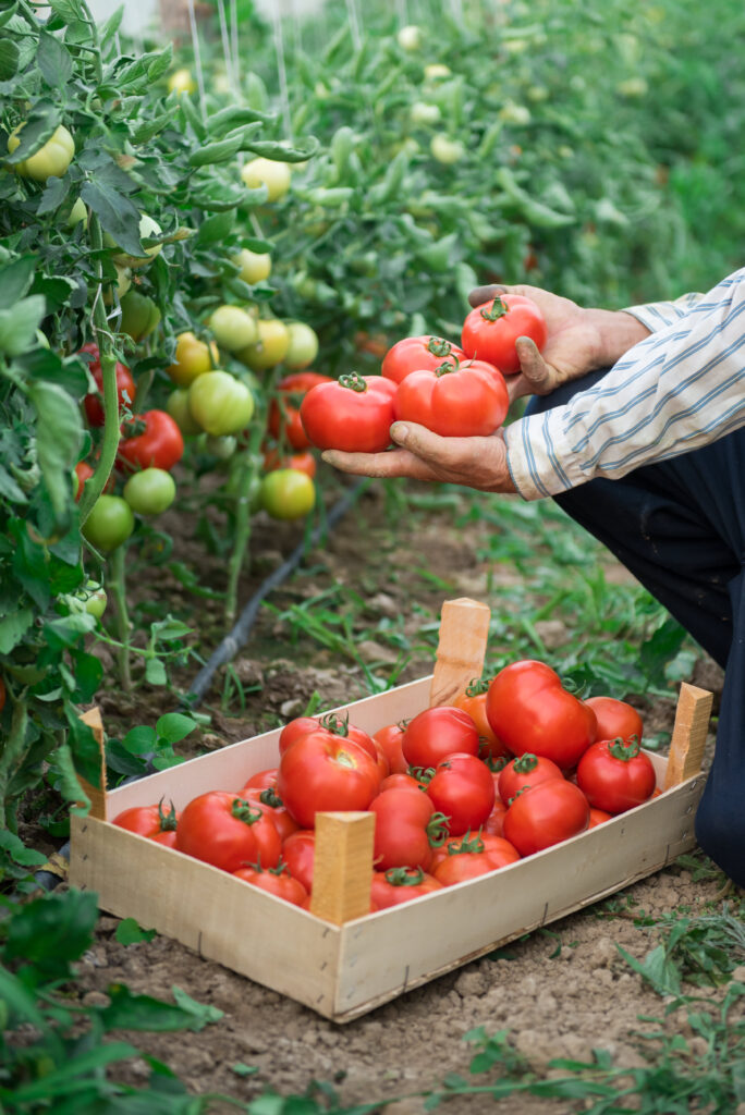 Luxury brand exec left world of Hermes for life on farm. It’s now a $50 million home business, and growing