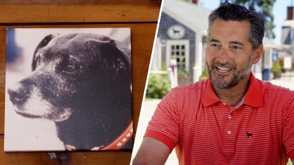 How a rescue dog inspired a Massachusetts tavern and a popular lifestyle brand