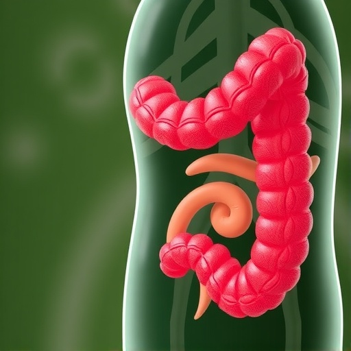Predicting Colorectal Cancer Using Lifestyle Factors