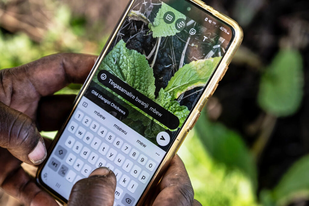 How Malawi is taking AI technology to small-scale farmers who don’t have smartphones