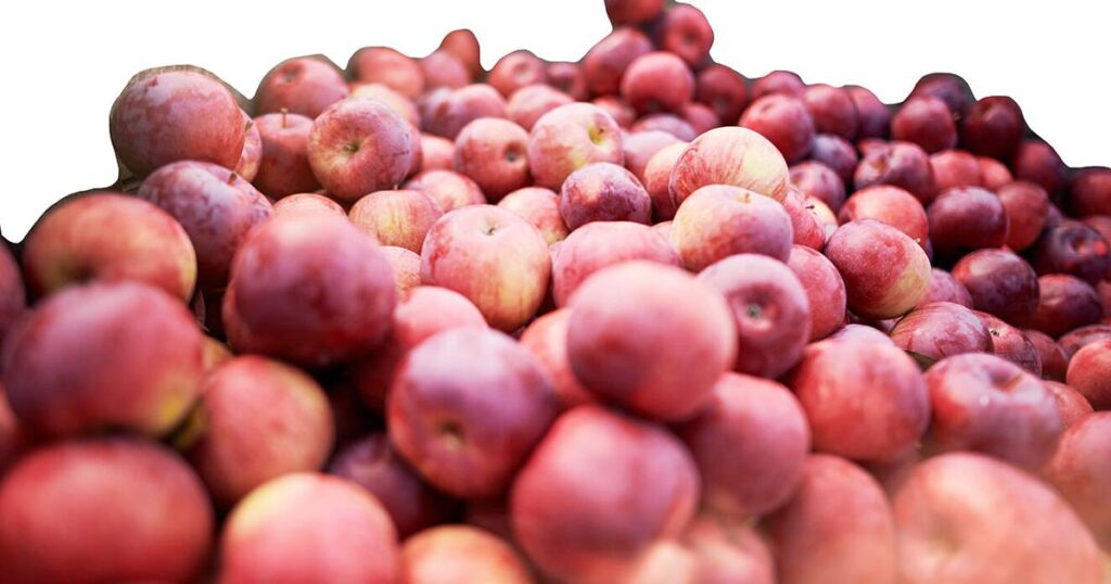 Wayne County’s 28th annual Apple Tasting Tour coming next month