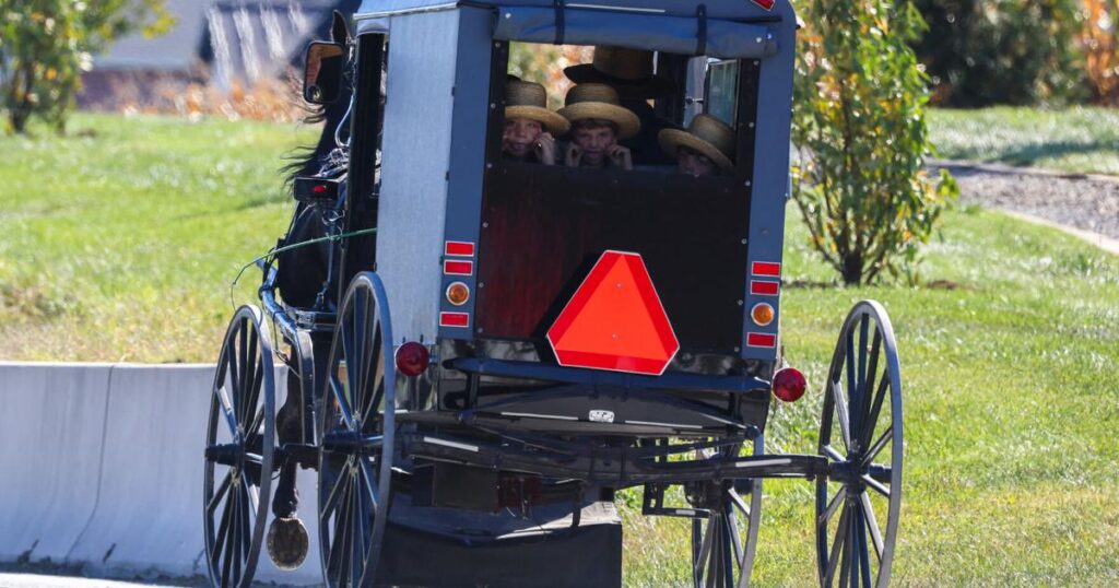Pa. Amish families experience autism and take Tylenol, experts say