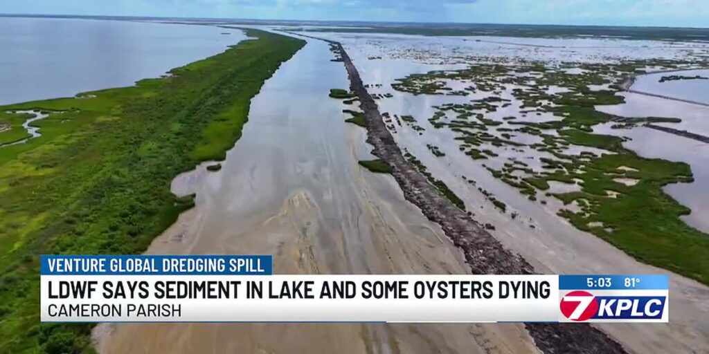 La. Wildlife and Fisheries says silt in Big Lake is affecting oyster population; fishermen say Venture Global dredging accident is to blame