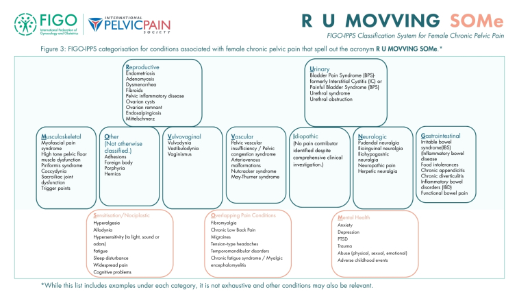 FIGO and IPPS launch new global classification system for chronic pelvic pain