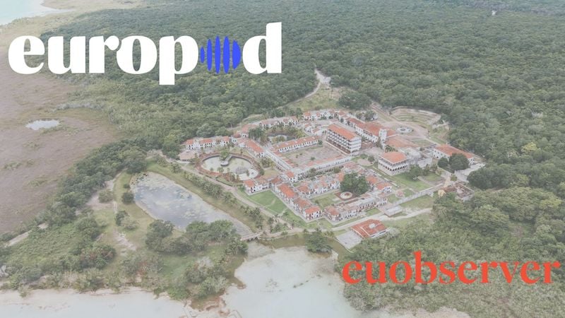 Listen: Brussels scales back deforestation law to ease pressure on small firms