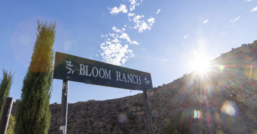 Prescribing Prevention: Doctors Turn to Lifestyle, Herbs and Veggies to Protect Against Chronic Illness in Black Californians