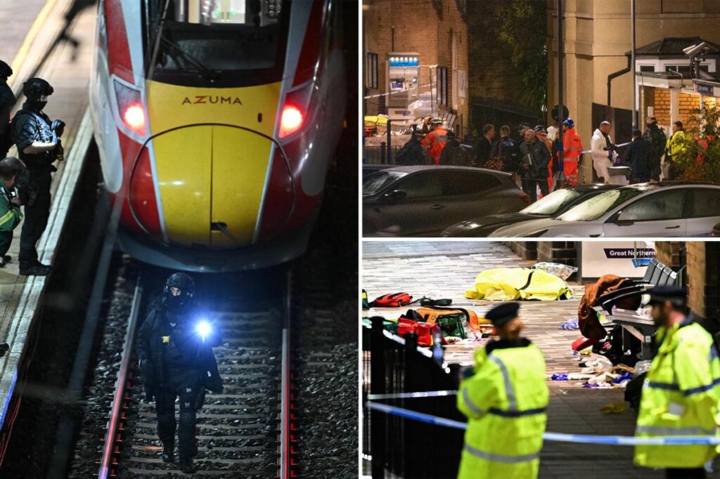UK train mass stabbing suspect screams ‘kill me, kill me’ as cops…