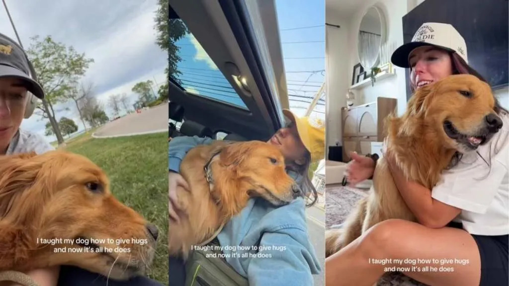 Video: Once Dog Learns Hugging From Owner, It’s All He Does