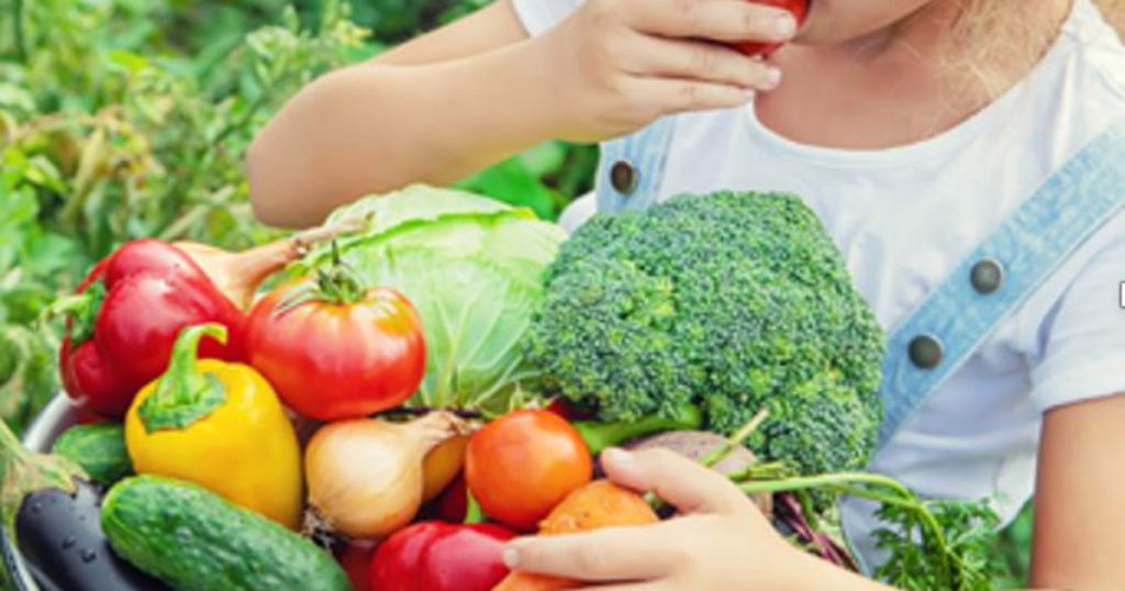 CSA Voucher Program offered by UK HR Health and Wellness