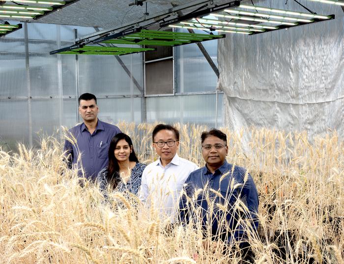 Global Consortium Calls for Mapping Gene Expression Across All Wheat Cells