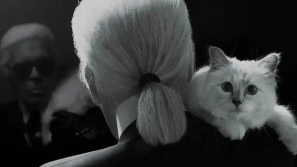 $200 million kitty: Meet Choupette, the world’s richest cat, whose lifestyle would make Cleopatra envious
