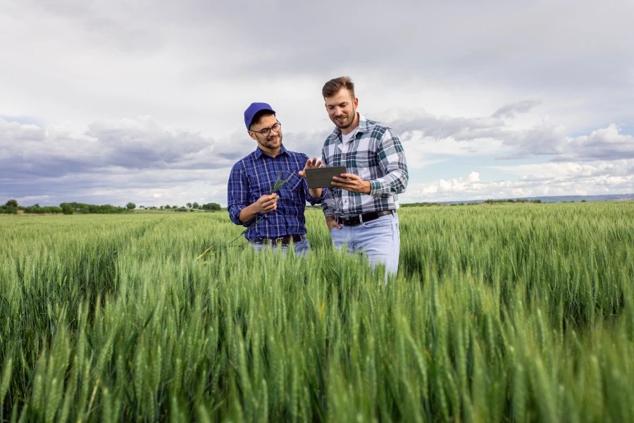 AgSphere and EIT Food link Canada and Europe to accelerate agri-food innovation