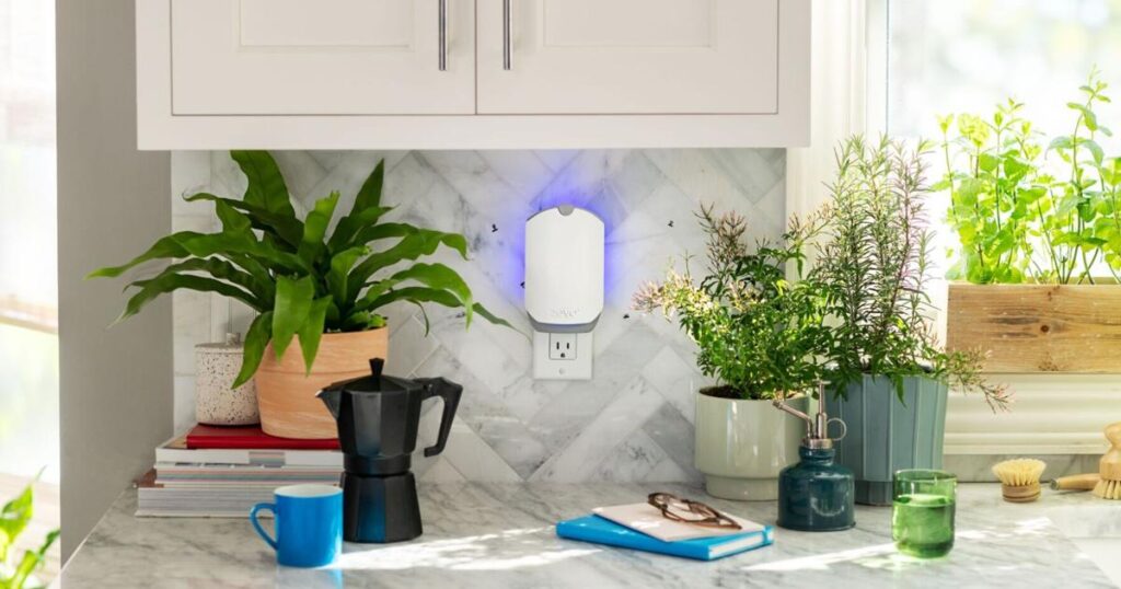 Spring cleaning your kitchen? Here’s how to keep bugs out