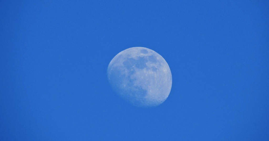 Look up tonight: a rare Blue Micromoon graces the South Florida sky