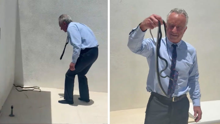 RFK Jr bitten by snakes after grabbing writhing reptiles with bare hands at Dr Oz’s Florida home