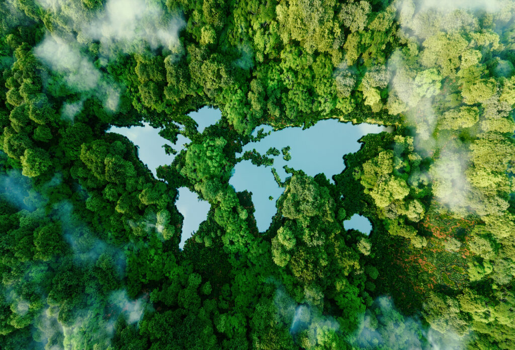 New Forests launches $750m global natural capital strategy