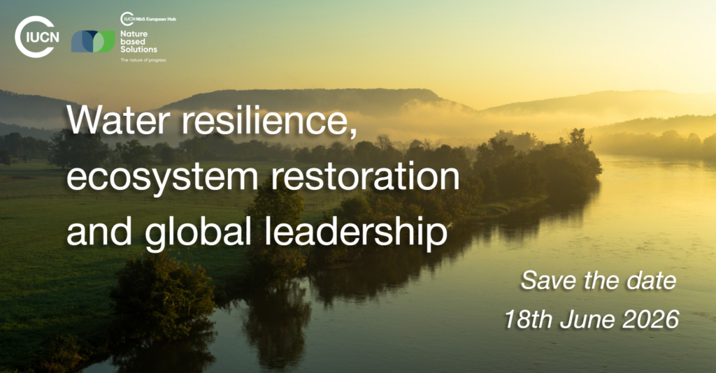 Water resilience, ecosystem restoration and global leadership